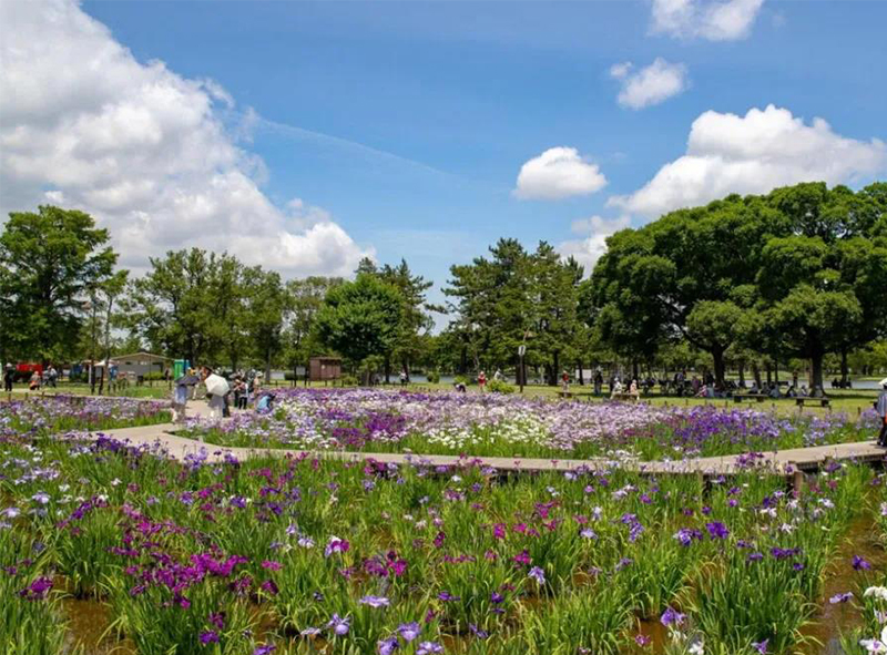 疗愈花园（healing garden）景观设计