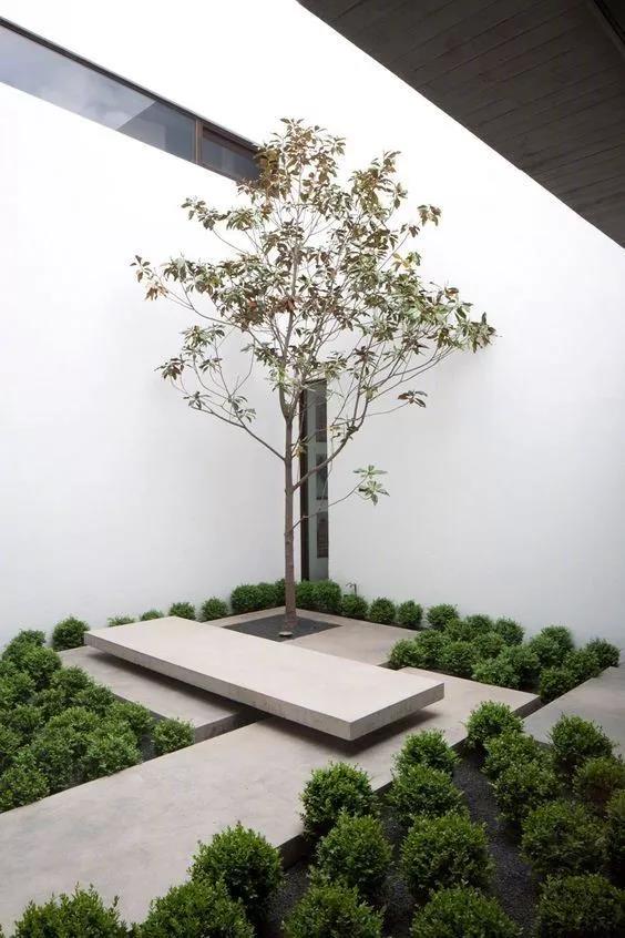 疗愈花园（healing garden）景观设计
